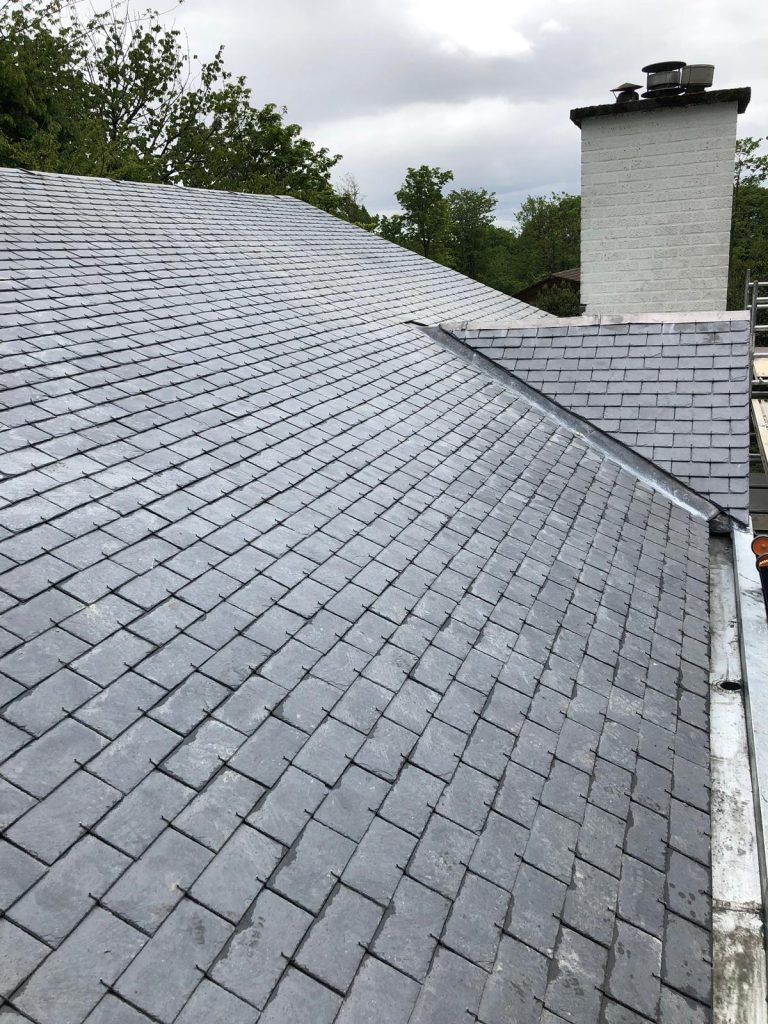 Natuurleien dak Hoensbroek