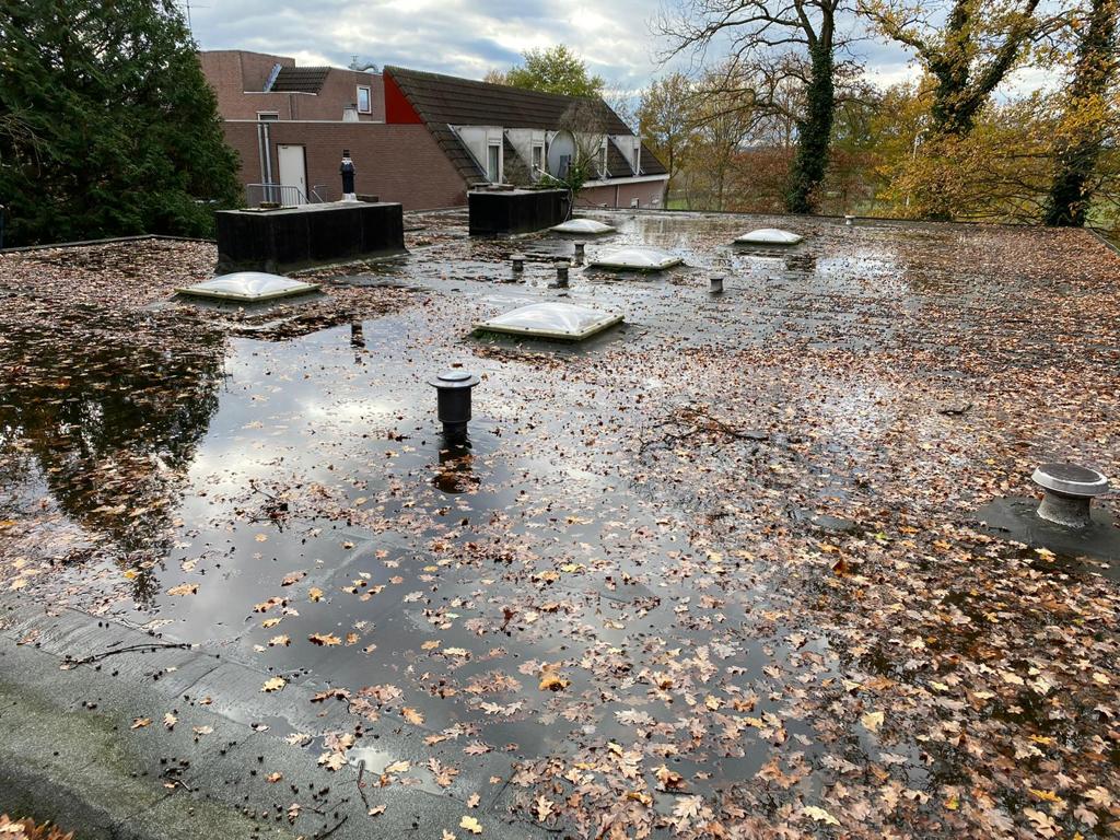 Water op een plat dak: wanneer is het een probleem?