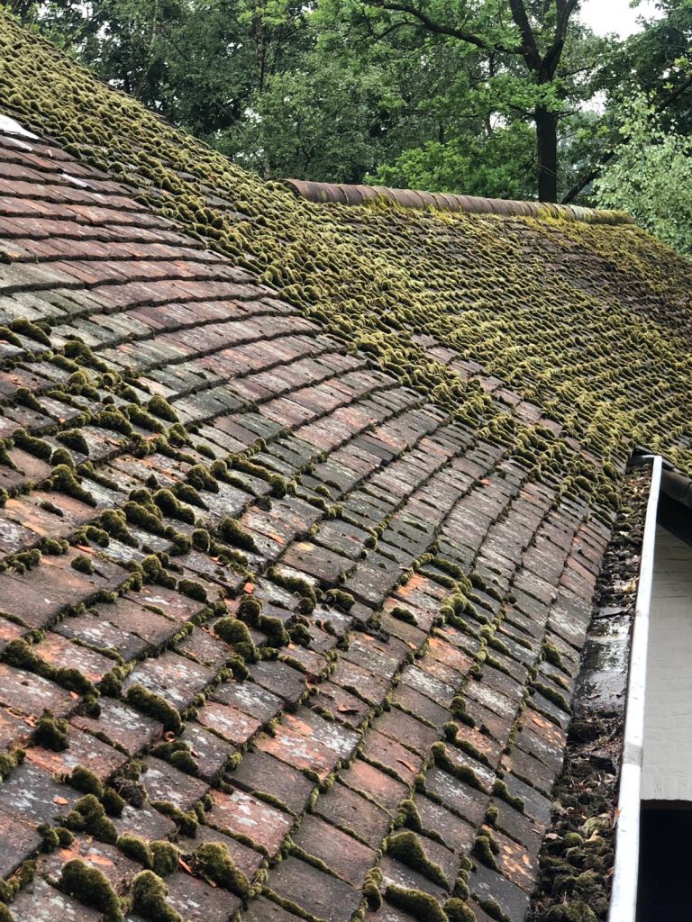 Wanneer moet je dakpannen vervangen?